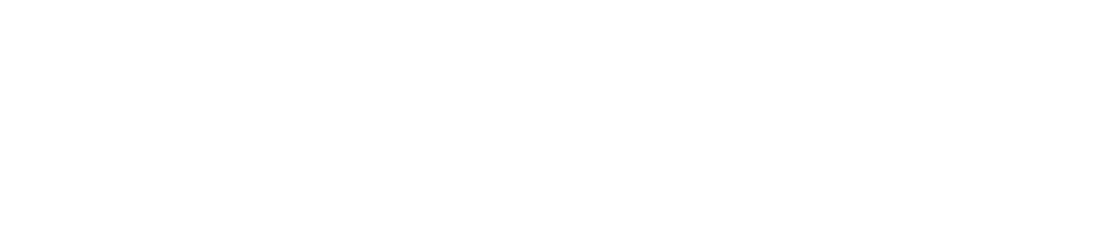 logo wex